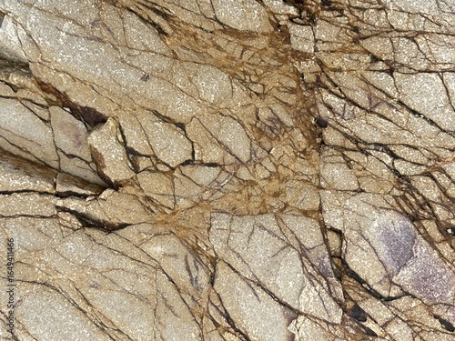 A textured rock surface featuring intricate golden and brown veins, showcasing natural patterns and geological formations.