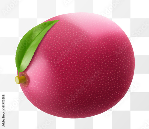 Fresh juicy passion fruit isolated on a transparent background. Ripe purple passion fruit or passiflora edulis for package design. Realistic 3d Vector illustration of tropical fruits.