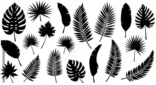 tropical leaves, palm leaves silhouettes, diverse collection, black shapes, design elements, artistic embellishments, leaf vector
