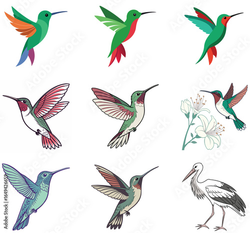 A colorful collection of funny birds set against a whimsical background