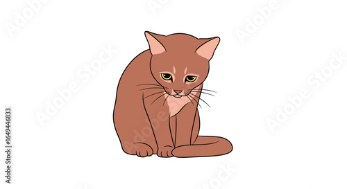 A sad orange tabby kitten sitting alone with downcast eyes feeling lonely and melancholy waiting for someone