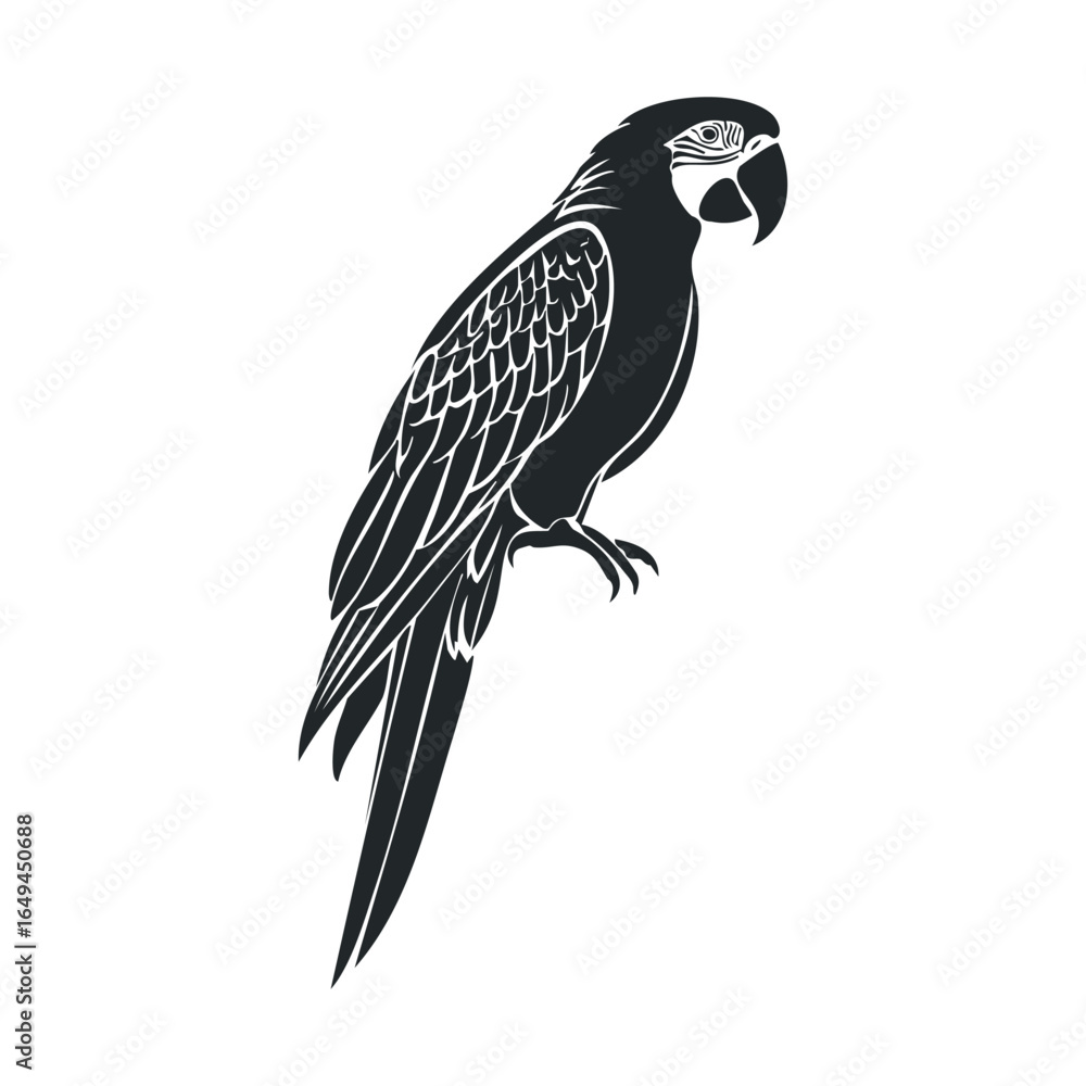 Fototapeta premium Monochrome parrot silhouette: elegant bird design capturing perched majesty
