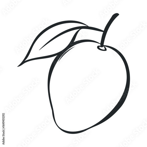 Black and white mango sketch with leaves and stem