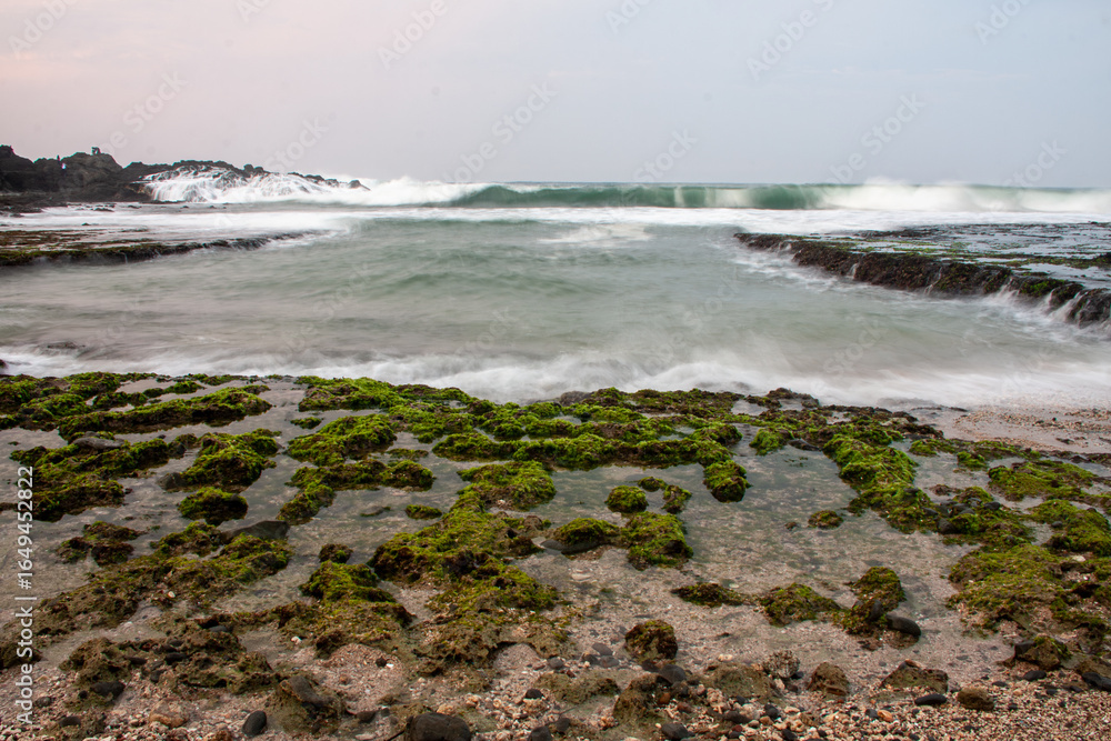 Fototapeta premium Misty seascape with blurred waves and a mossy, rocky shore at low tide.