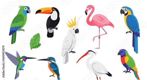 Illustration showcasing a diverse collection of tropical birds including parrots and other exotic species
