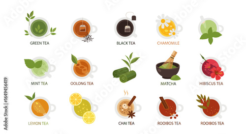 Illustration of various types of tea including green black chamomile mint oolong matcha hibiscus and more
