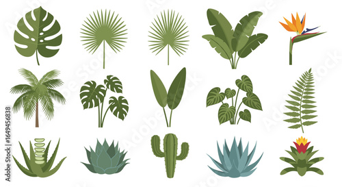 Illustration showing a variety of tropical plants including palms, ferns, cacti, and flowering plants