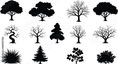 Diverse black silhouette trees and plants collection including leafy trees, bare branches, spiky bush, conifer, and various shrub shapes