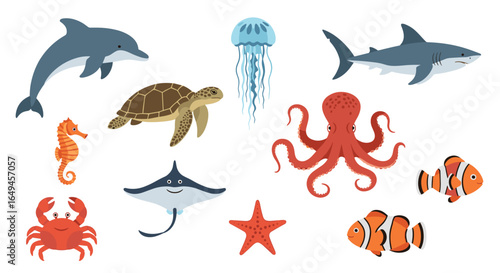 Illustration of various sea creatures including a dolphin shark jellyfish octopus and other marine animals