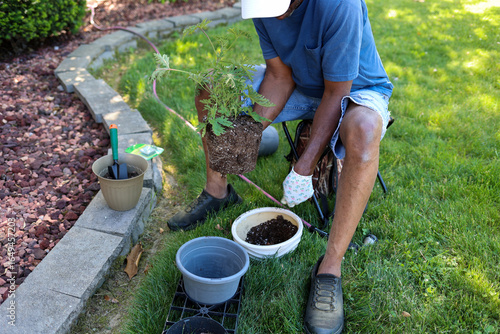 Foto A black man potting a citronella  plant into a planter