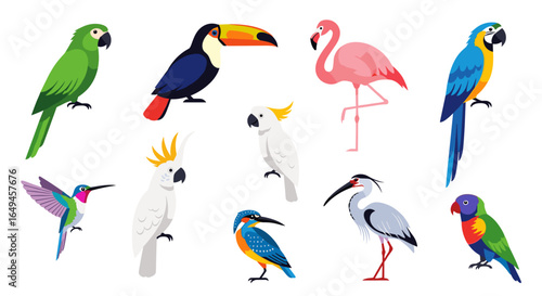Illustration of various colorful birds including parrots toucans flamingos and other exotic species