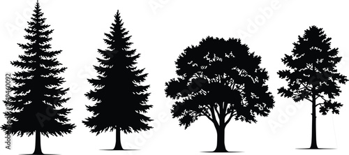 Silhouettes of four mature trees, including two pine and two deciduous types, black vector illustrations on white background