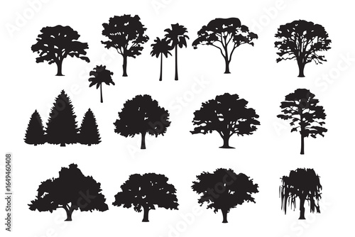 A set of black vector silhouettes of various trees like palm, pine, and oak with intricate leaf and branch illustrations, creating a natural forest collection
