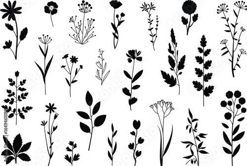 Silhouettes of various plants and flowers, botanical shapes and foliage diversity, cad drawing flat vector illustration, black nature artwork set for design projects
