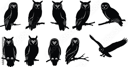 Silhouetted owls perched on branches, flying owl illustration, nocturnal birds, wildlife vector, nature art, black and white design
