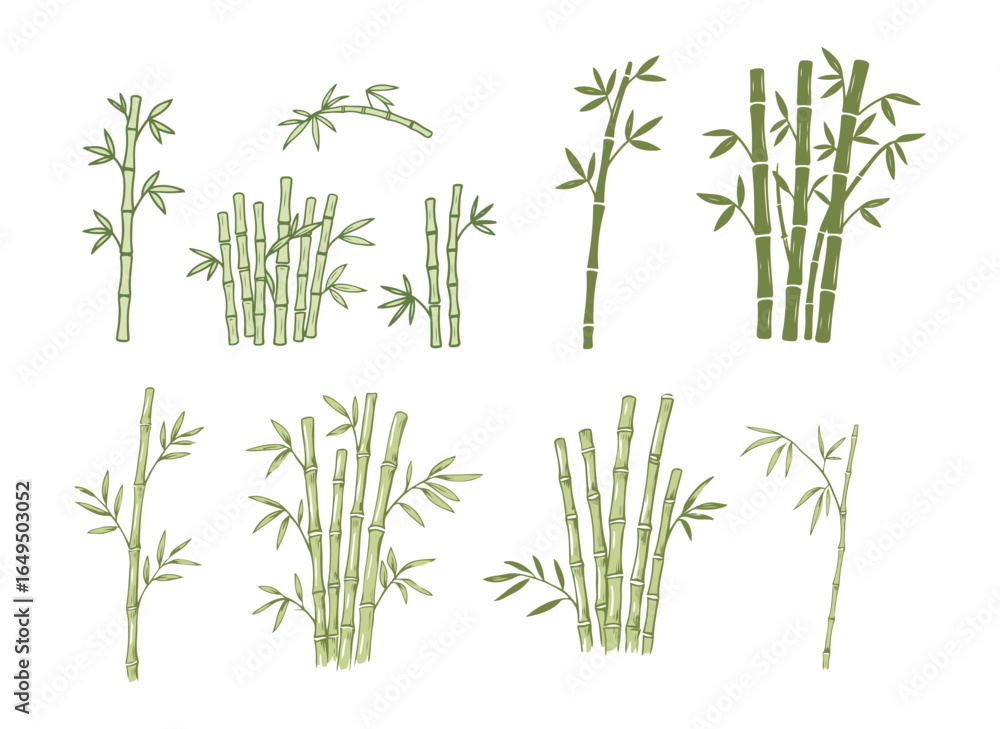 Obraz premium A collection of bamboo plant illustrations in a hand-drawn style, showcasing different stalks and leaves, representing Asian nature and sustainability.
