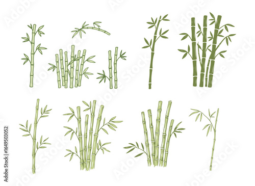 A collection of bamboo plant illustrations in a hand-drawn style, showcasing different stalks and leaves, representing Asian nature and sustainability.