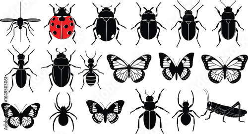 Insect silhouettes, butterfly vector, beetle graphic, spider illustration, nature design, entomology clipart, wildlife icons, black insects, educational vector