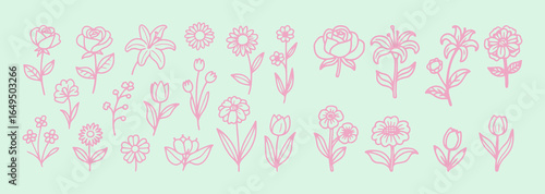 A beautiful collection of pink vector line art illustrations of various flowers, including roses, lilies, and tulips, on a light green background.