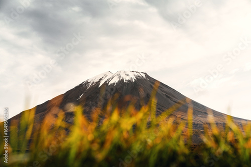Vulkan Misti umgeben von goldener Graslandschaft im Nationalreservat Salinas y Aguada Blanca