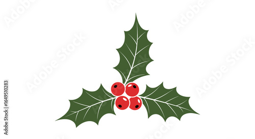 Classic holly with red berries for winter holidays