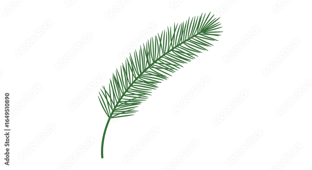 Green pine tree branch with many fine needles Green pine tree branch with many fine needles