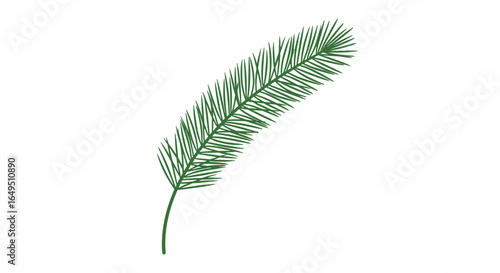Green pine tree branch with many fine needles