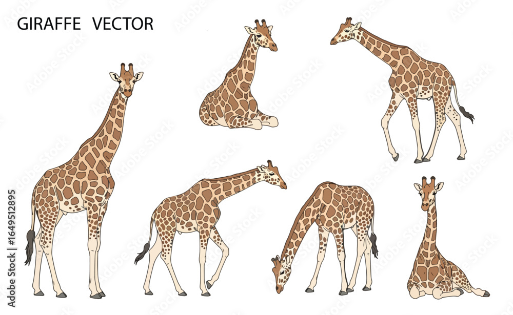 Obraz premium Giraffe Vector Icon Collection – Cute Wildlife Animal Poses for Safari and Nature Design