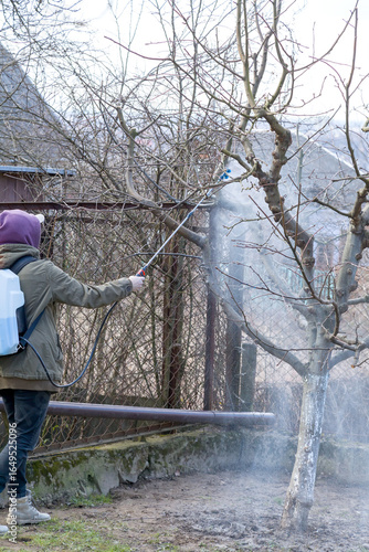A woman works in the spring garden and spray with a rechargeable sprayer chemicals against pests