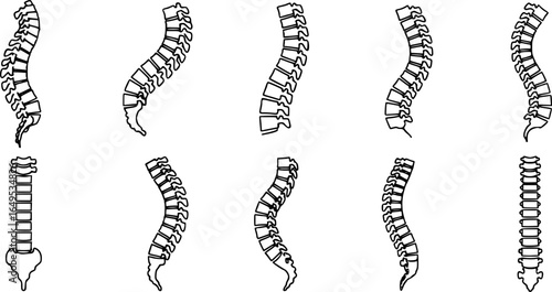 Spine icon set. Simple set of spine vector icons for web design on white background

