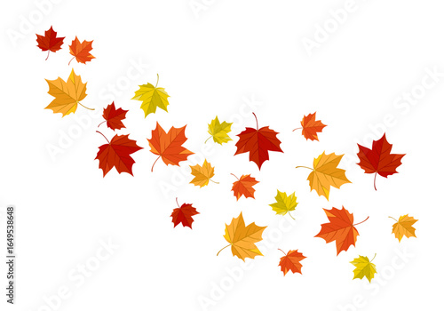 Falling autumn maple leaves isolated on white background. Vector cartoon flat illustration. 