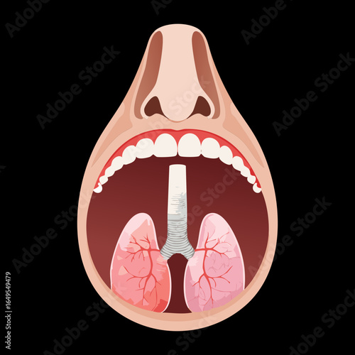 A clear medical diagram of the human respiratory system, starting from the mouth opening