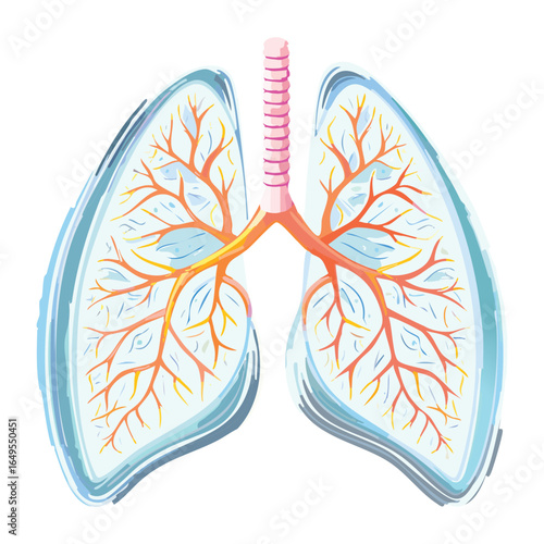 A Detailed Diagram of Healthy Human Lungs
