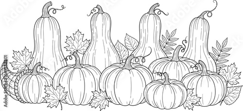 Collection of pumpkins and gourds isolated on white background