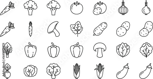 Line art illustration of various vegetables including carrots broccoli and bell peppers arranged in rows