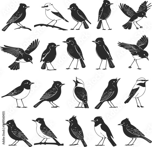 Collection of unique songbirds in different poses flying, perched, landing created in thin black line art style, uniform stroke width, minimal and elegant outlines 2