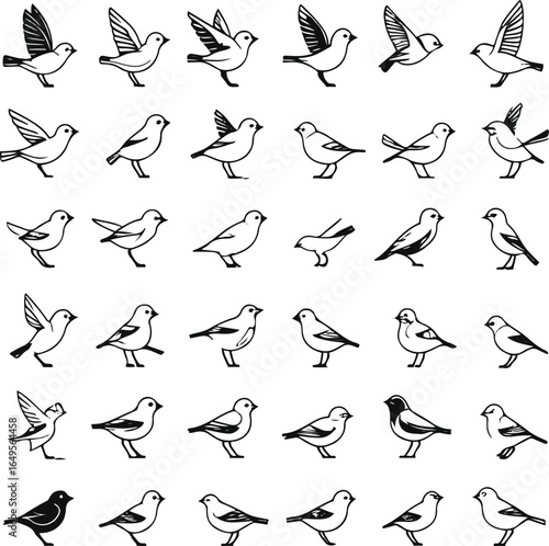 set of different small birds in various flying and standing poses, minimal black-and-white line art style, clean vector outlines 2