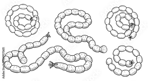 Delicious sausage illustration, perfect for menus and culinary designs, ideal for food lovers everywhere