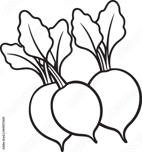radishes line art, coloring book page line art drawing, vector and illustration