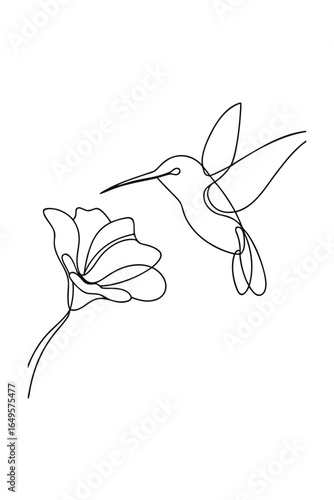Minimalist single line drawing a hummingbird hovering near a flower nature animal