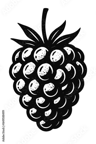 Stylized Black and White Raspberry Vector - Organic Fruit Illustration for Food and Health Designs