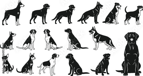Dog breed silhouettes—17 black vector illustrations of sitting, standing, and lying poses featuring Doberman, Beagle, Shepherd, and more