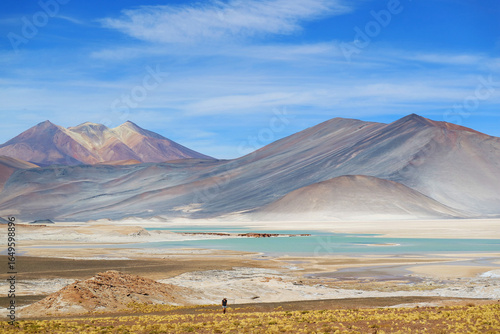 Incredible View of Salar de Talar, the High Plateau Salt Lakes in Los Flamencos National Reserve, Antofagasta Region, Northern Chile, South America