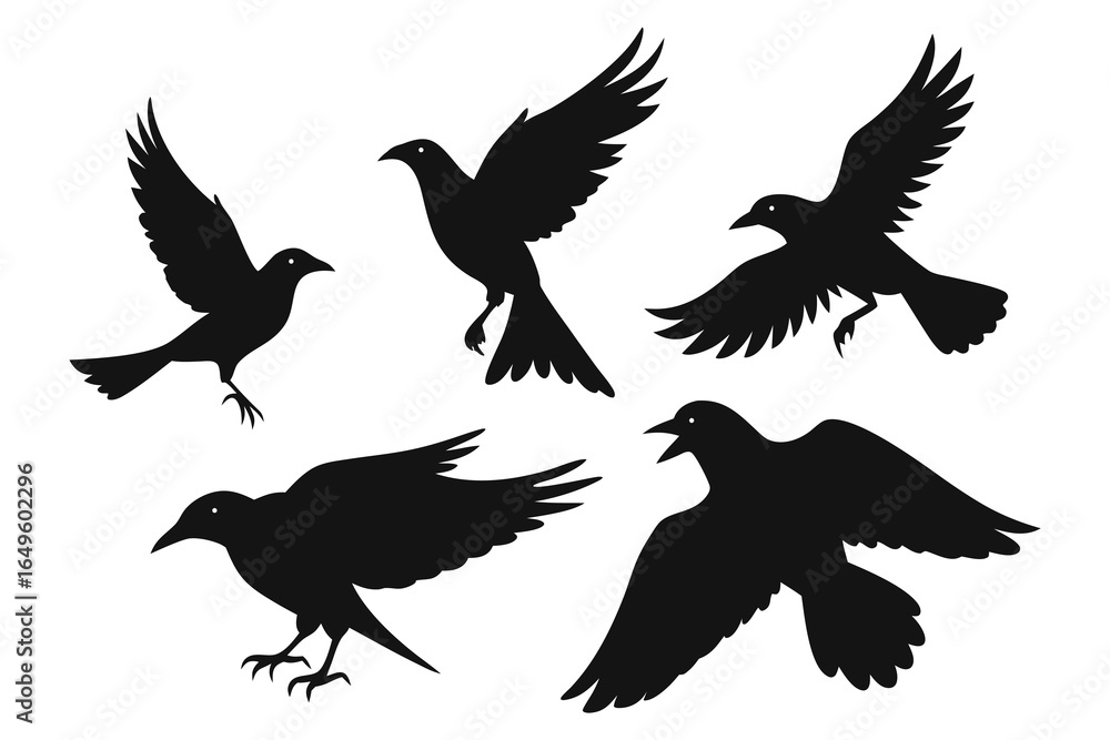 Obraz premium Bundle of 6 Silhouette Wild Crows in Natural Actions: Pecking, Flying, Perching, and Fighting
