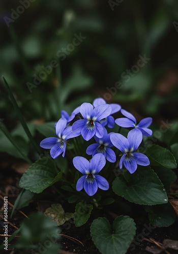Forest's Sapphire Embrace