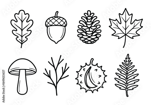 Autumn nature icons - leaves, acorn, pinecone, mushroom, branch, chestnut outline set