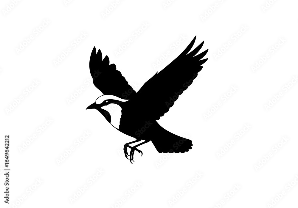 Fototapeta premium vector silhouette of a bird