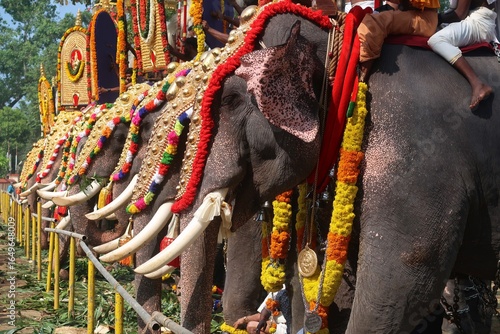 Canvas Print classical pooram festivels in thrissur, kerala, india