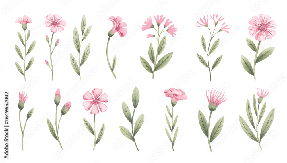 custom made wallpaper toronto digitalSoft pink cosmos flowers with buds and green foliage. Cosmos blossoms with stems and leafy accents in watercolor.