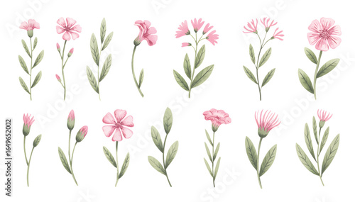 Wallpaper Mural Soft pink cosmos flowers with buds and green foliage. Cosmos blossoms with stems and leafy accents in watercolor. Torontodigital.ca